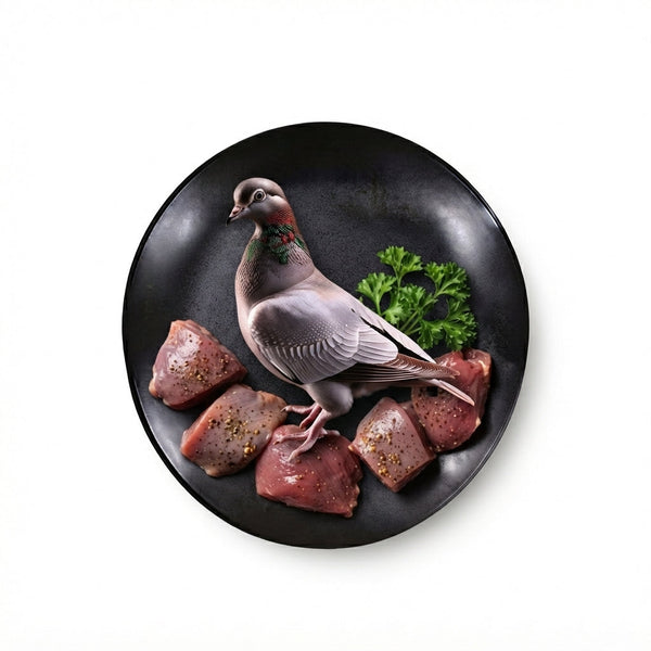 Pigeon - Omani