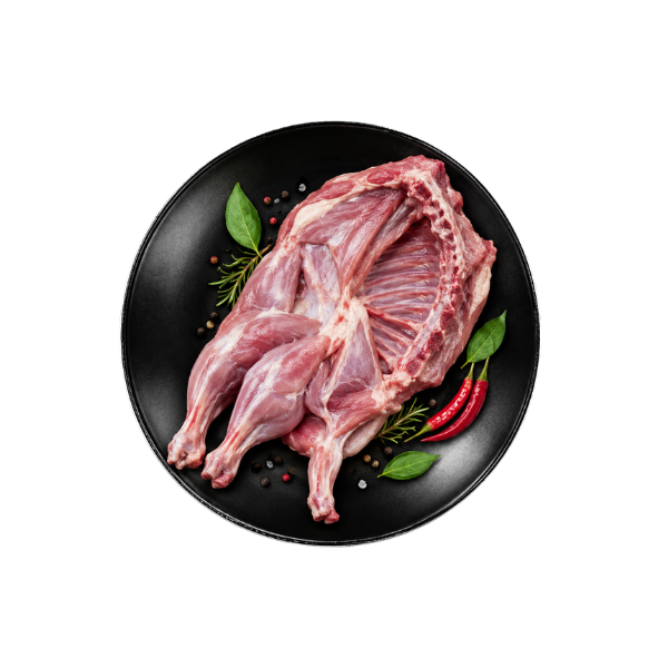 Rabbit - Omani